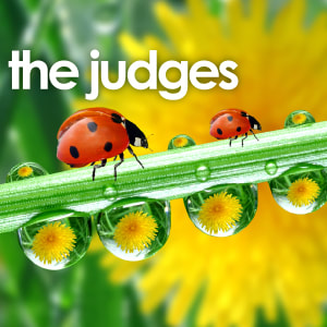 List of Judges Page