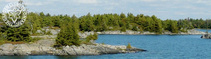 Garden Club Georgian Bay