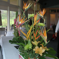 Tropical Flower arrangement