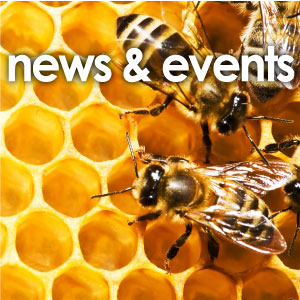 Judges' Council News & Events Page